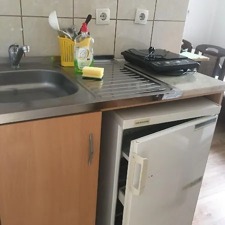 Zorica Ribarska Banja