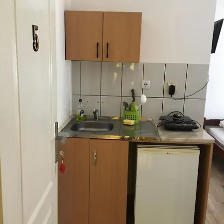 Zorica Ribarska Banja